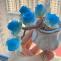 Clay succulent