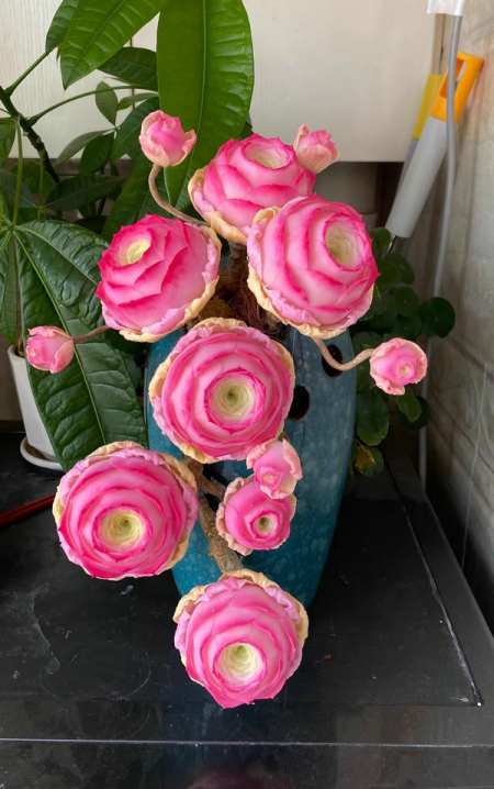 Clay succulent