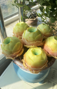 Clay succulent