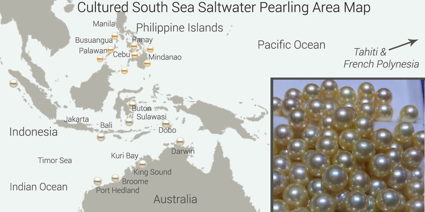 Cultured Pearl Types Smartyleowl Resin Lamp Wood Resin Lamp