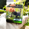 resin diorama