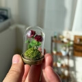 clay rose