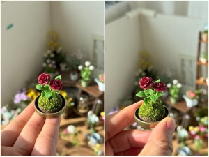 clay rose