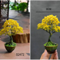 wire wrap bonsai tree art