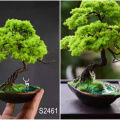 fairy garden