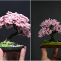 wire wrapped tree