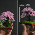 sakura tree