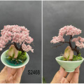 wire wrap bonsai tree art