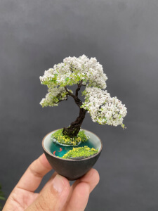 wire wrap bonsai tree art