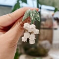 Lily of the valley earring