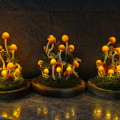mushroom lamp