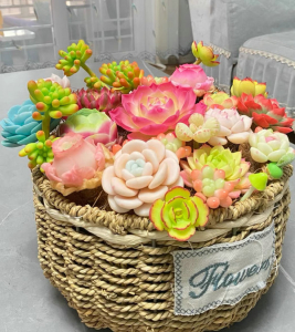 Clay succulent