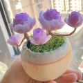 Clay succulent
