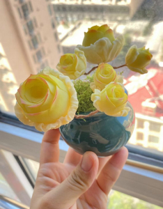 Clay succulent