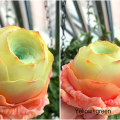 Clay succulent