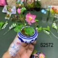 clay flower art