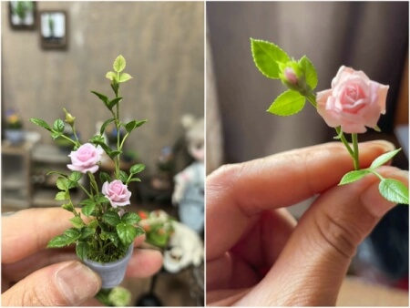 clay rose