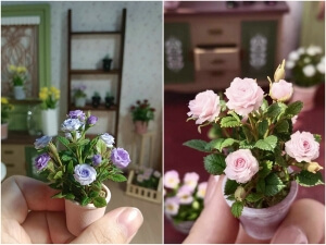 clay rose
