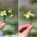 clay lily