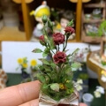 clay rose